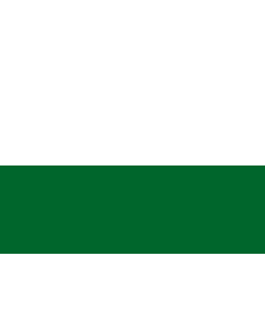 Fahne: Steiermark