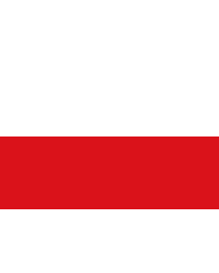 Fahne: Tirol