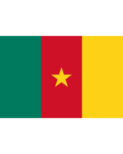 Fahne: Kamerun