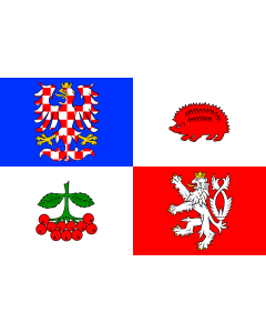 Fahne: Region Vysočina