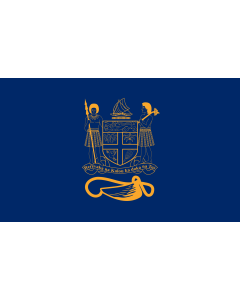 Fahne: Presidential Standard of Fiji | Standard of the President of Fiji bearing the full Coat of Arms of Fiji and a traditional Knot and Whale s tooth in Golden-Yellow