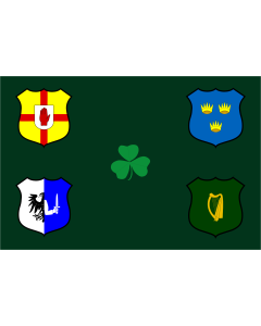 Fahne: Ireland Rugby