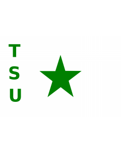 Fahne: TSU