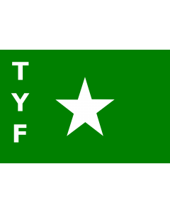 Fahne: TYF