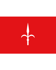 Fahne: Provinz Trieste