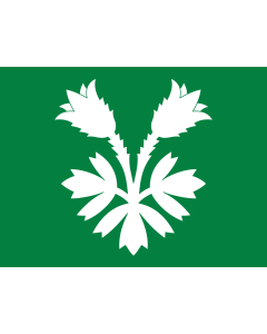 Fahne: Oppland