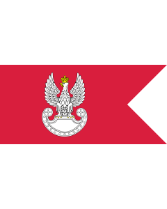 Fahne: Polish Land Forces | Polish Ground Forces flag. Adopted in 1993 | Wojsk Lądowych. Wprowadzona w 1993