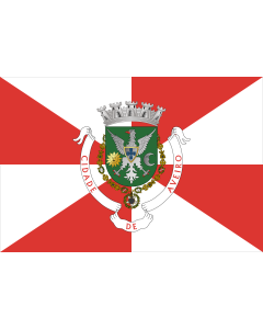 Fahne: Aveiro