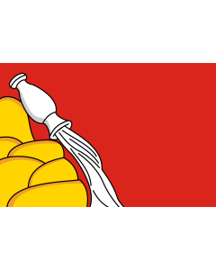 Fahne: Oblast Woronesch