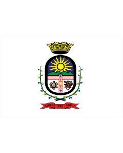 Fahne: Cerro Largo