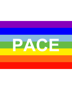 Fahne: PACE